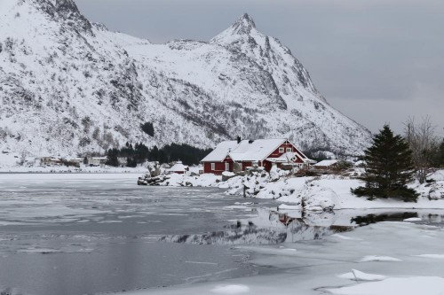 Am Rolvsfjord