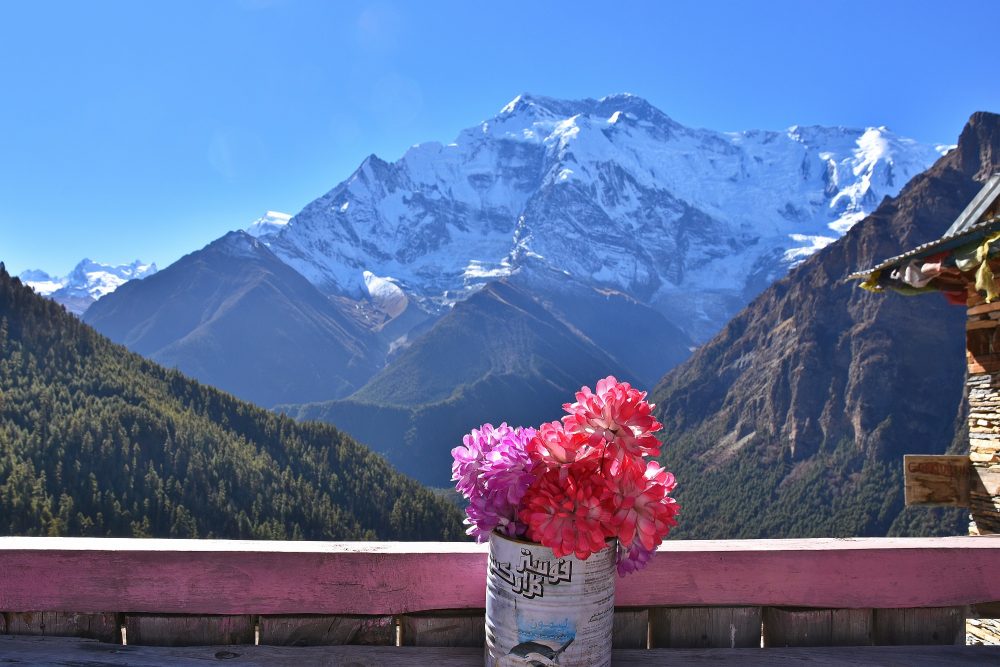 Teepause mit Blick auf Annapurna II