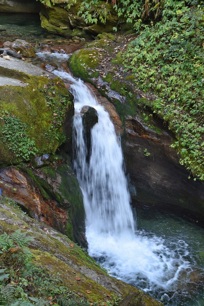 Wasserfall im Nebelwald