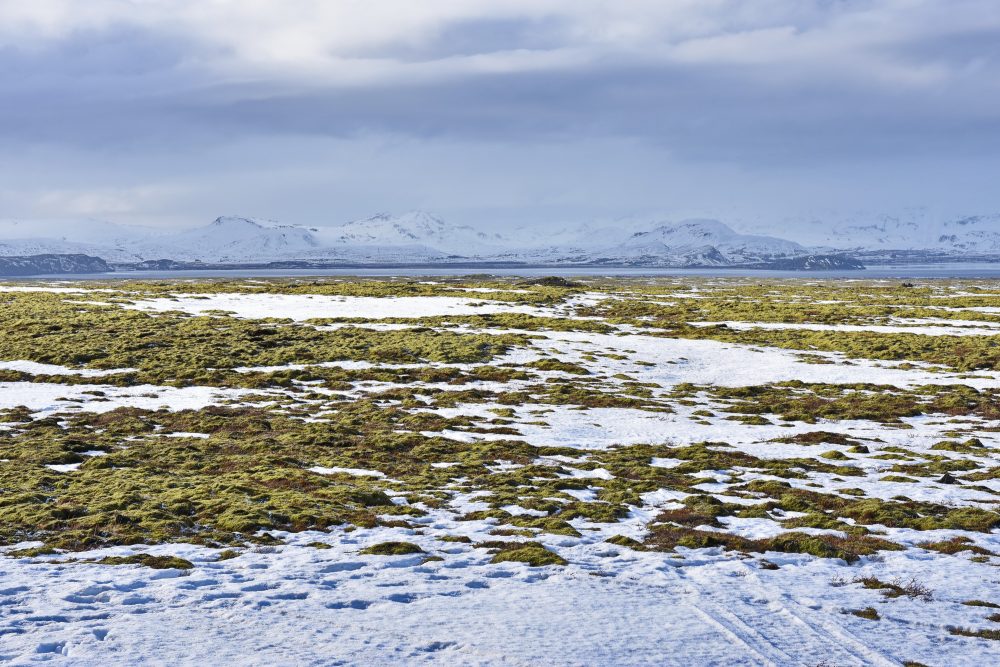 Weites Hochland im Þingvellir