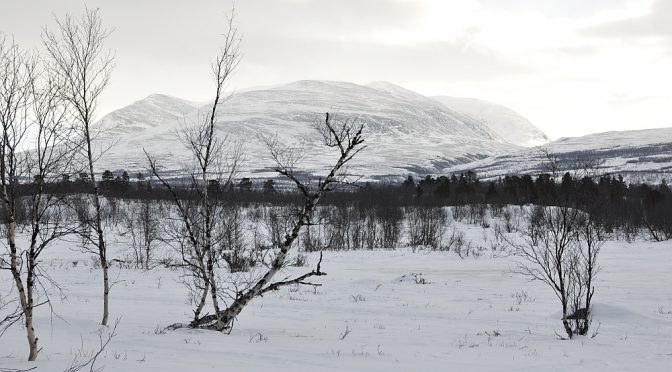 Verschneites Lappland