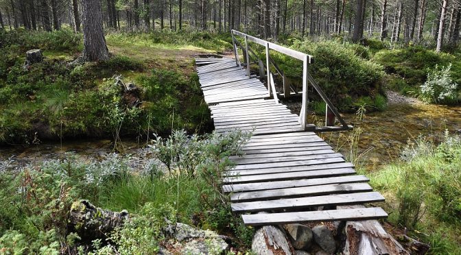 Luxus: eine richtige Brücke