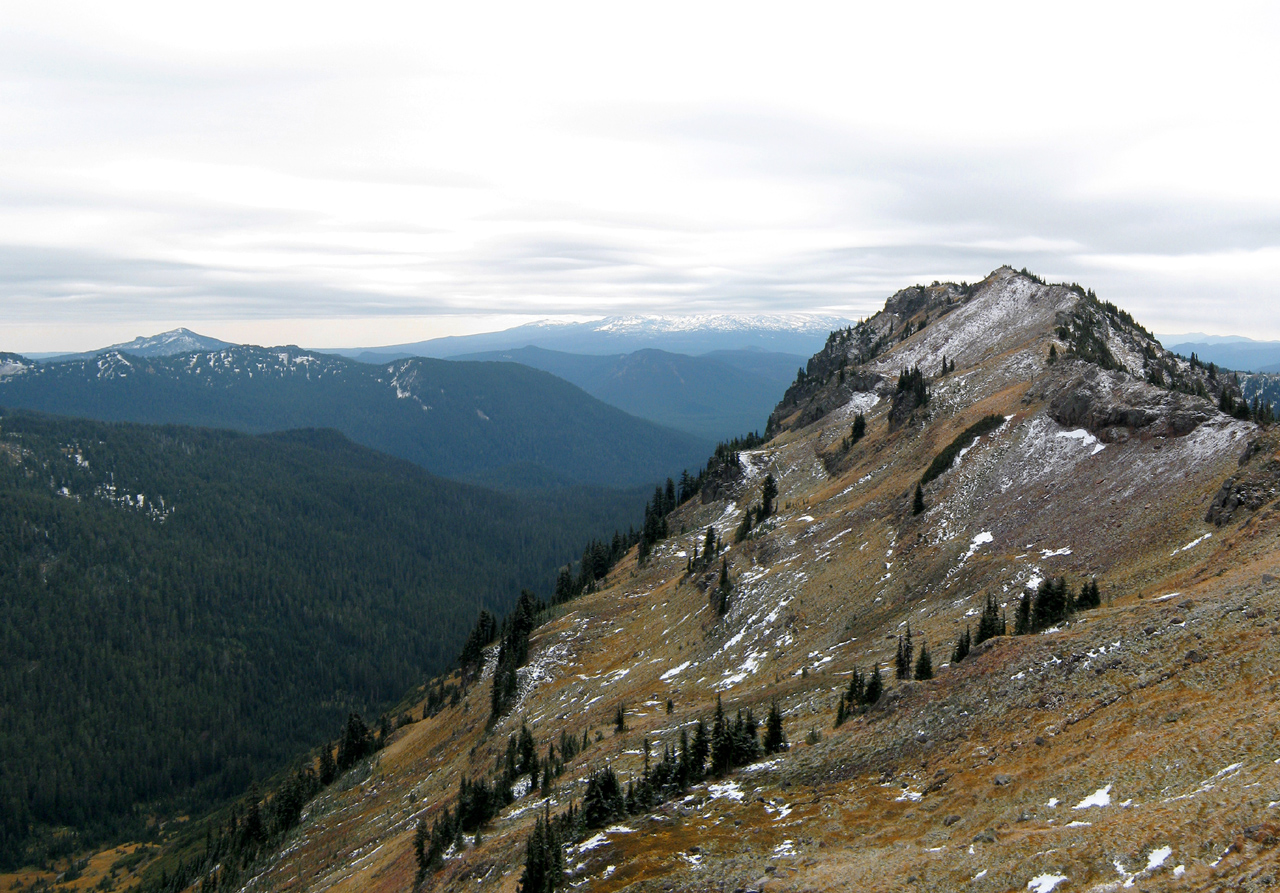 Goat Rocks Wilderness (Wikipedia)