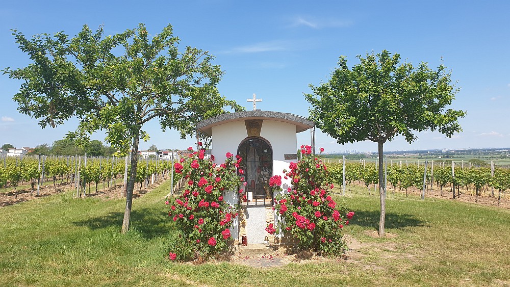 Kapelle in den Weinbergen