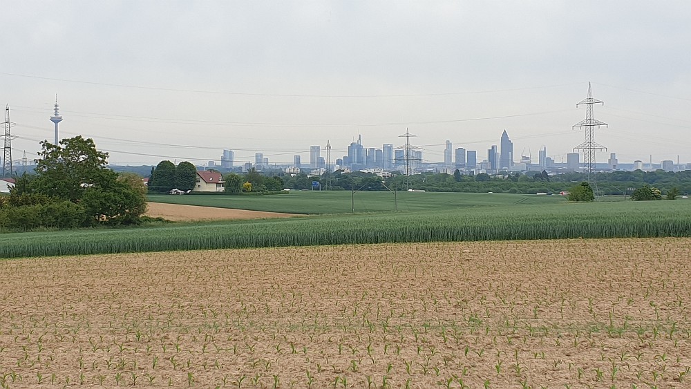 Blick auf die Frankfurter Skyline