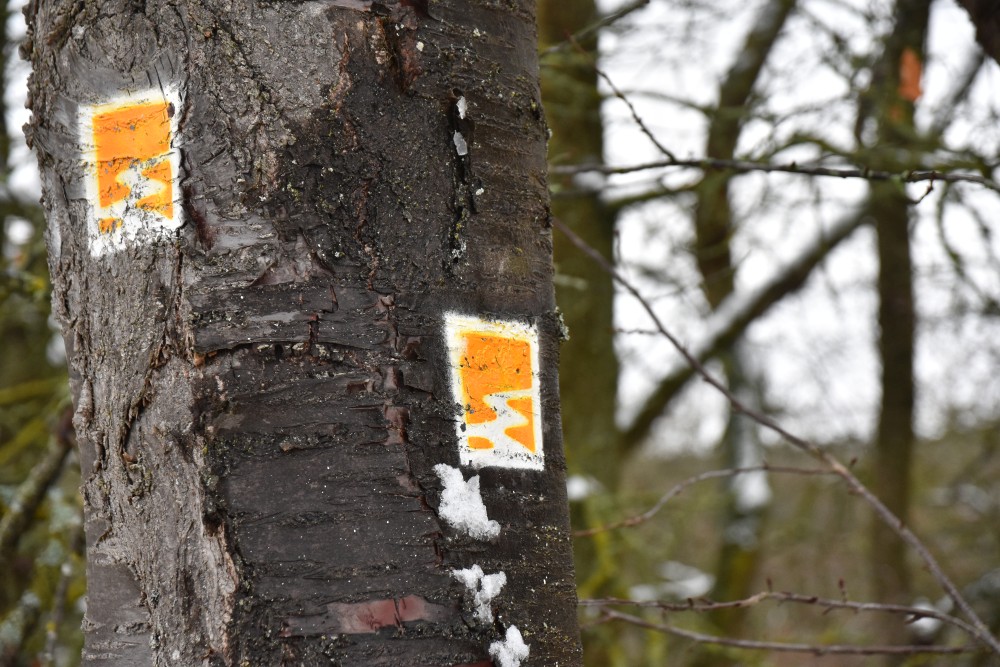 Traumpfad Monrealer Ritterschlag