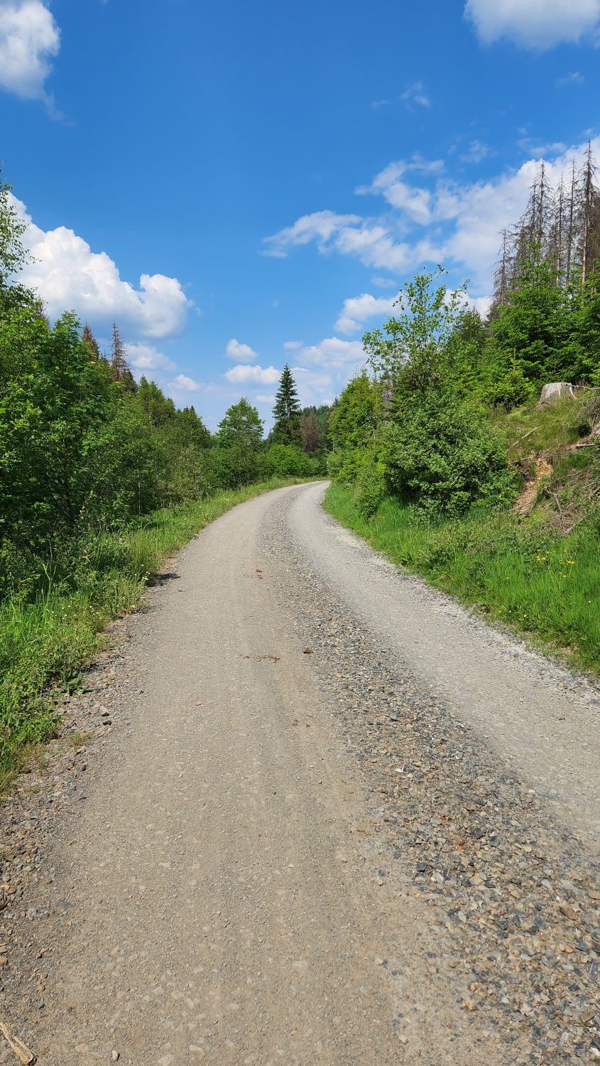 Forststraßen ohne Ende